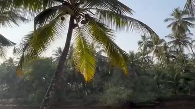 Harsha River View 8-Bed Mixed Dormitory Room - Tap to explore photos