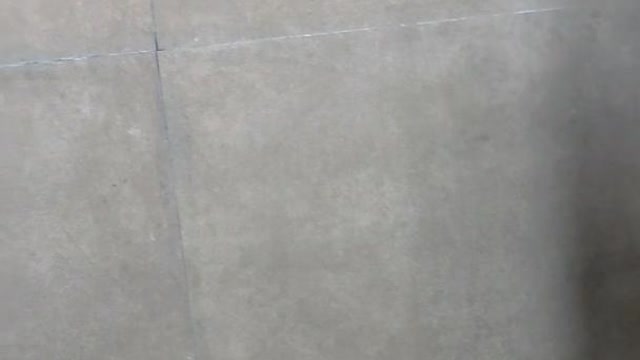 The Corus - Tap to explore photos