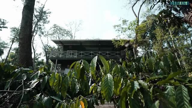 Machaan Wilderness Lodge - Nagarahole - Tap to explore photos