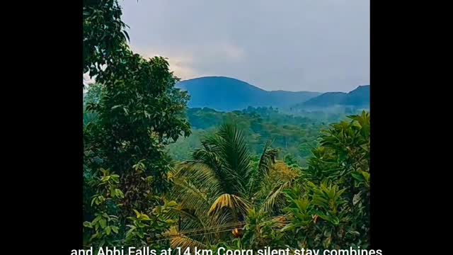 Coorg Silent Stay - Tap to explore photos