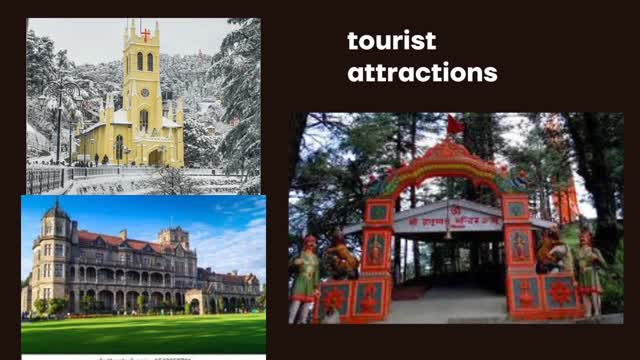 The Golden Paradise Shimla - Tap to explore photos