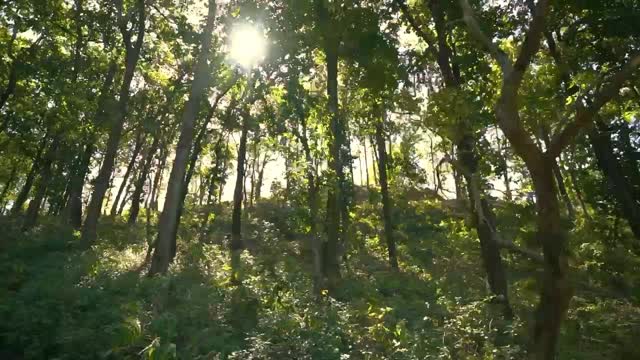Club Mahindra Patkote Corbett - Tap to explore photos