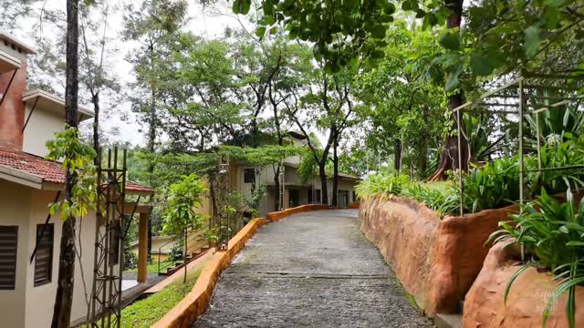 Safari Hills Vythiri - Tap to explore photos