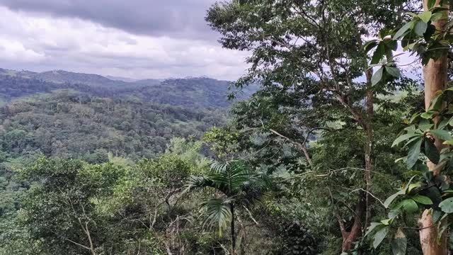 Coffee Camp Home Stay - Tap to explore photos