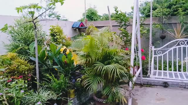 JN Homestay - Tap to explore photos