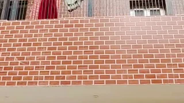 Maa janki homestay and paying guest house - Tap to explore photos