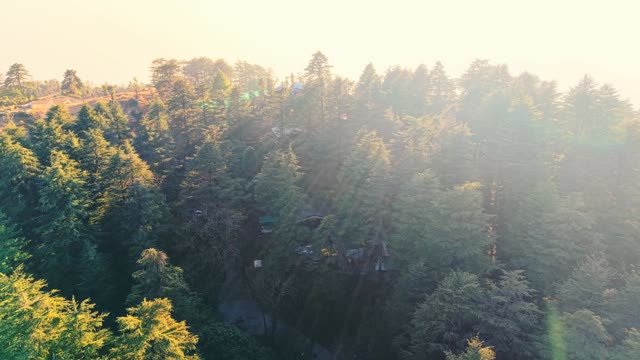 Treetop Glamps - Mussoorie - Tap to explore photos