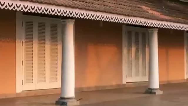Rosastays Panjim North Goa - Tap to explore photos
