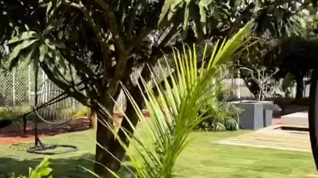 Gable Grove:Serene Retreat|Camping|Nature Adventures|Thalli by Homeyhuts - Tap to explore photos