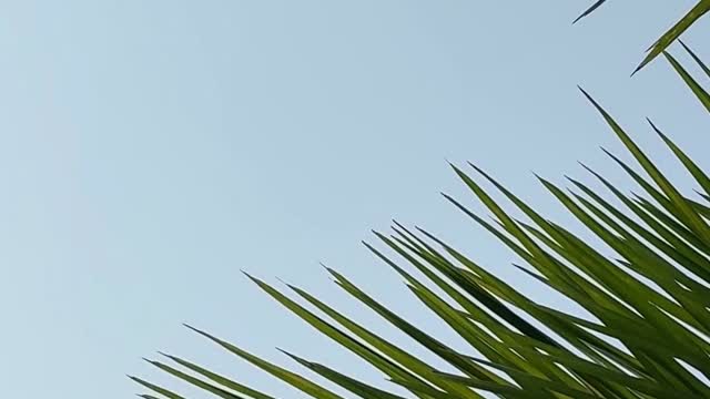 White Wharf Beach Resort Morjim - Tap to explore photos