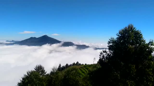 Mist View,Kodaikanal - Tap to explore photos