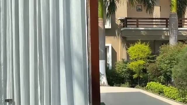 Maulik Mansion Resort - Tap to explore photos