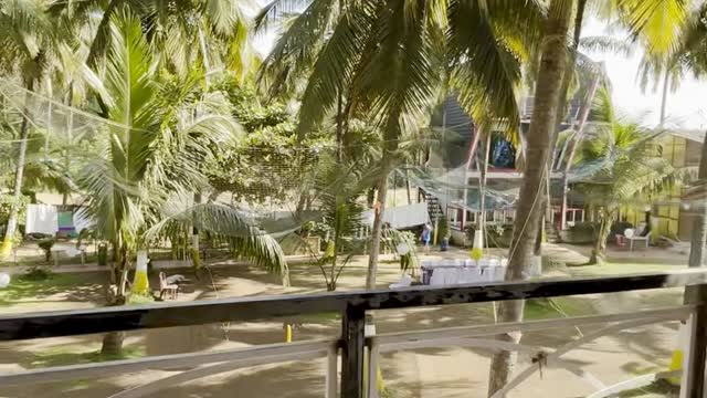 A COCONUT VALLEY - Tap to explore photos
