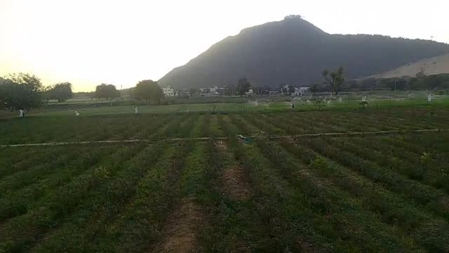 Hotel Divine Palace- Rose Farming & Mountain View - Tap to explore photos