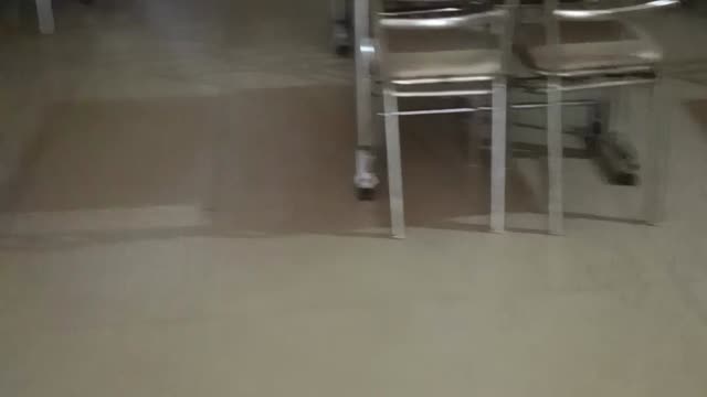 Hotel Shalimar, Mohali - Tap to explore photos