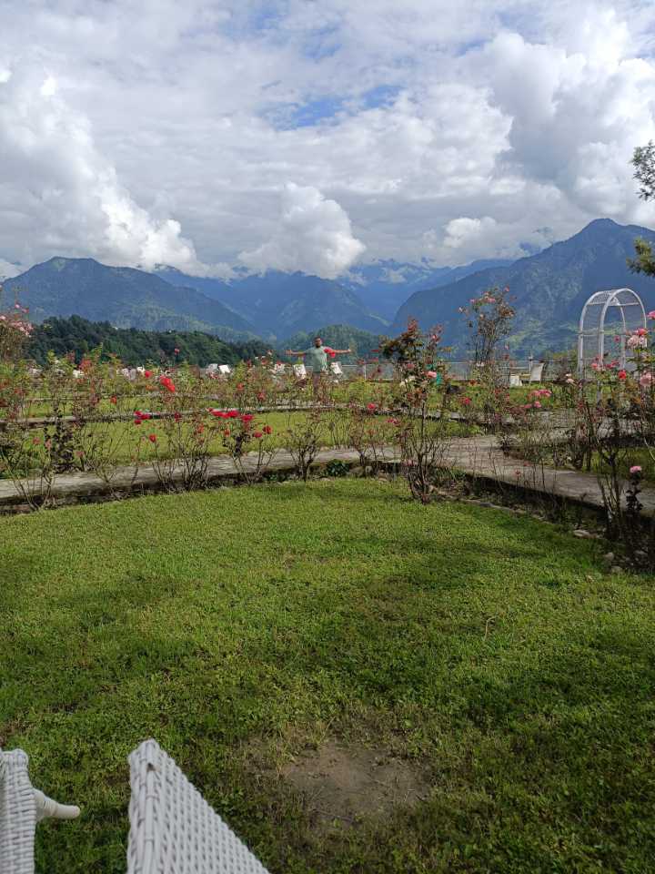 user photos