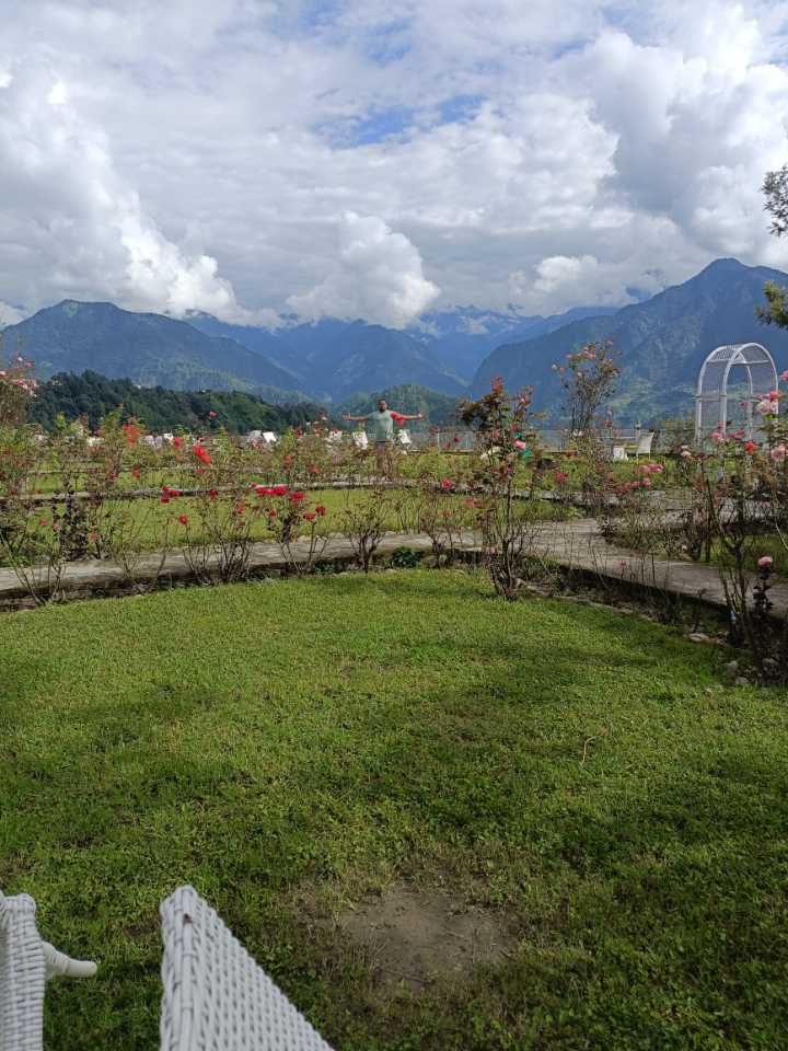 user photos