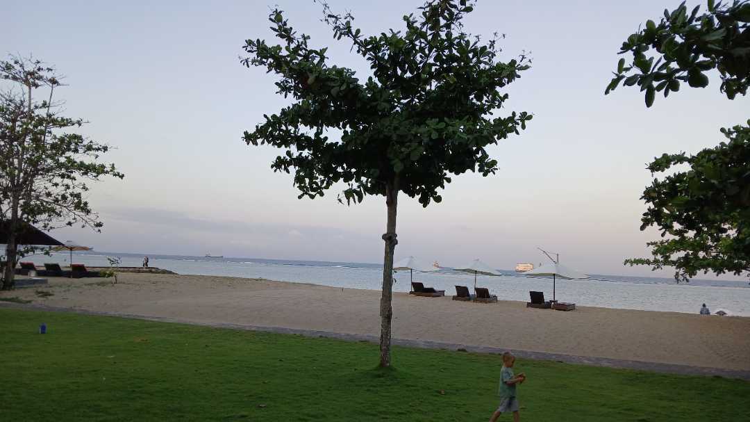 user photos