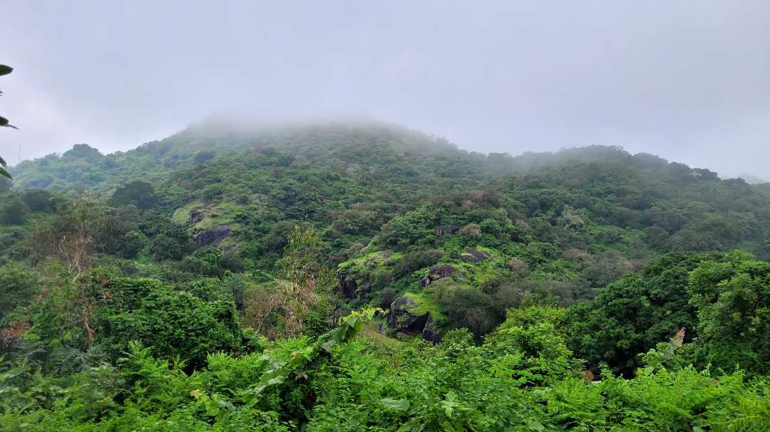 Outdoors IMAGE by mahendra kumar panda