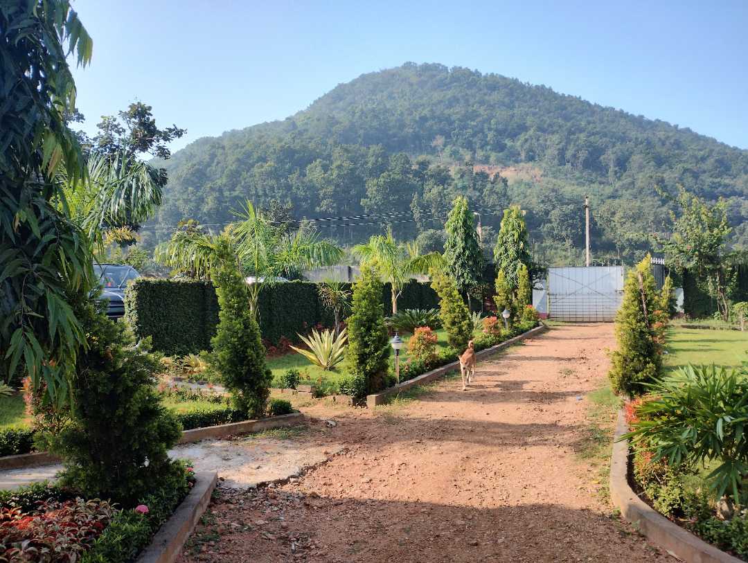 Outdoors IMAGE by wUI4RJ-2aKLLc_YMVvYo6gYSz6gVw3jH3yJfR658d24=