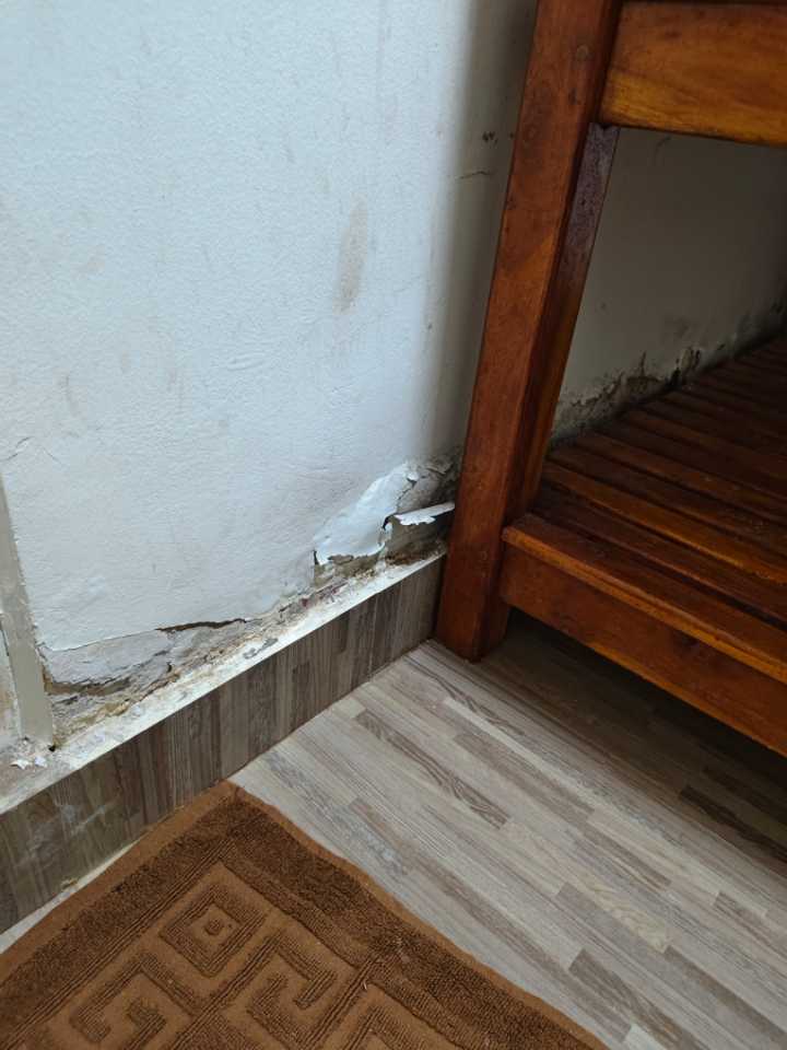 user photos