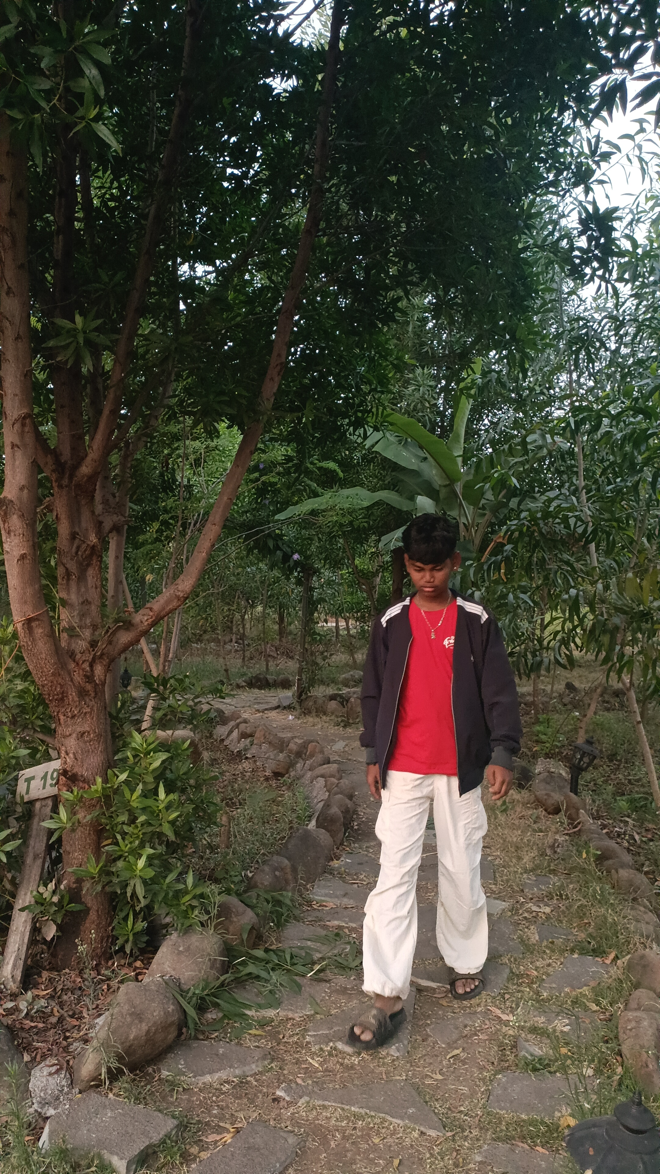 user photos