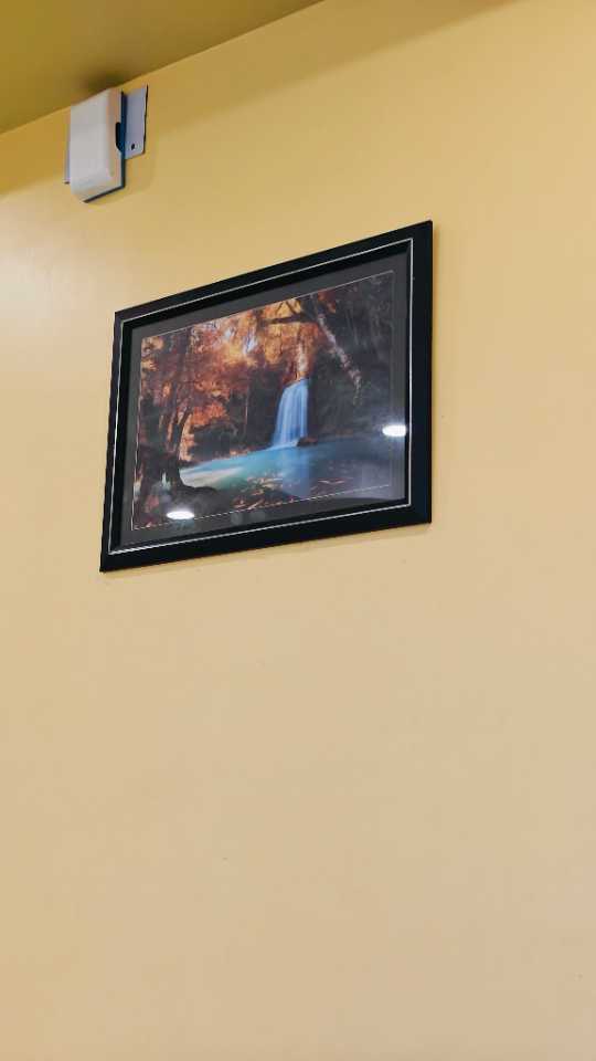 user photos