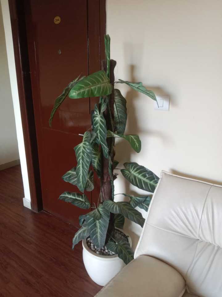 user photos