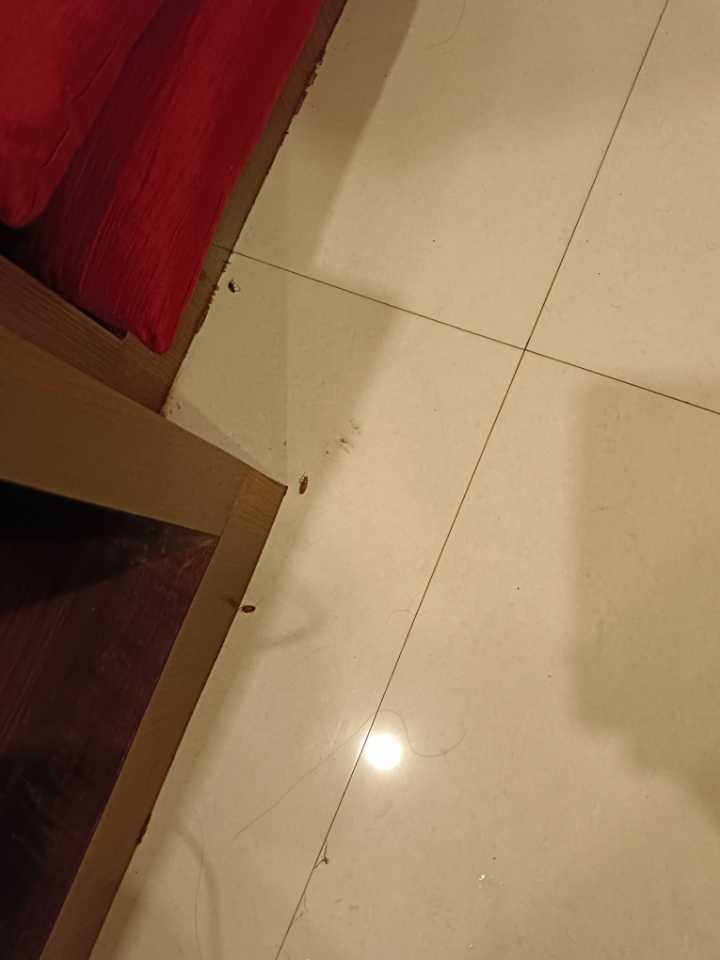 user photos