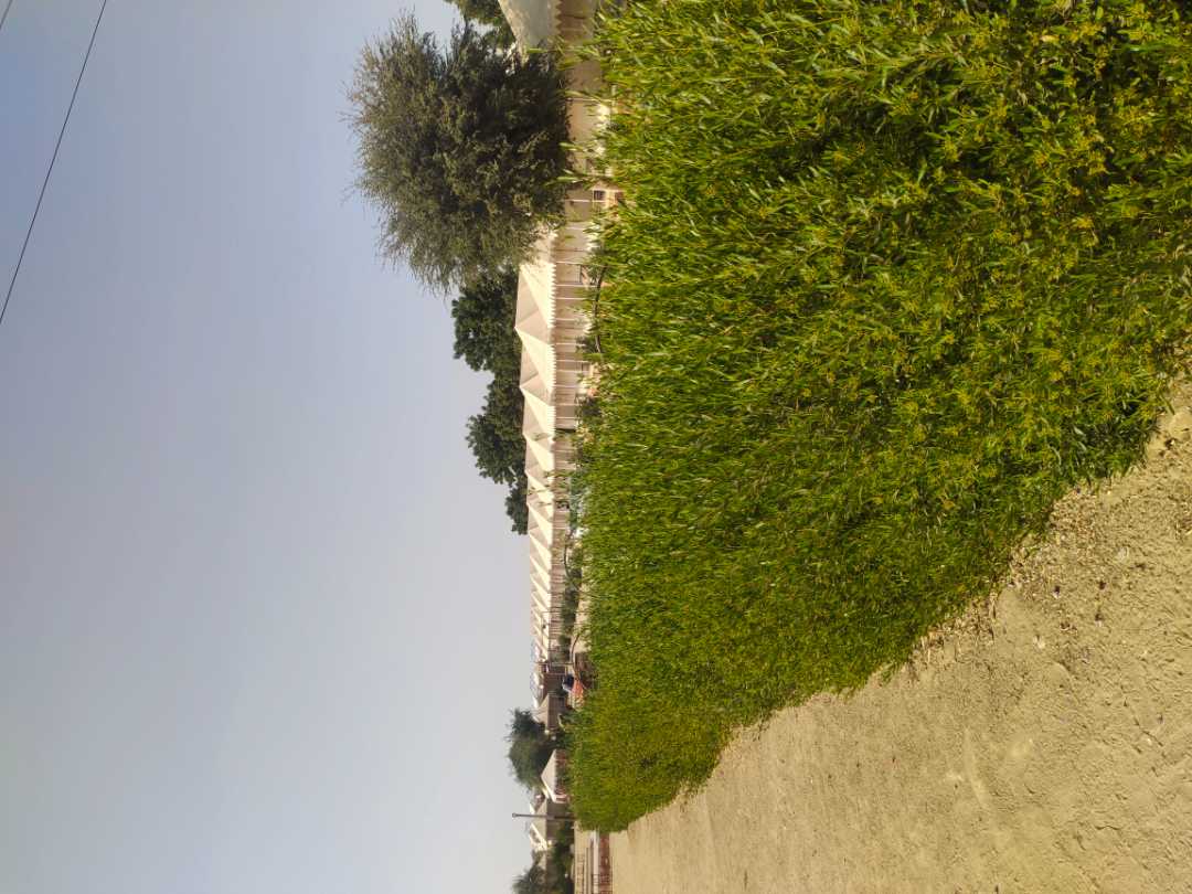 user photos