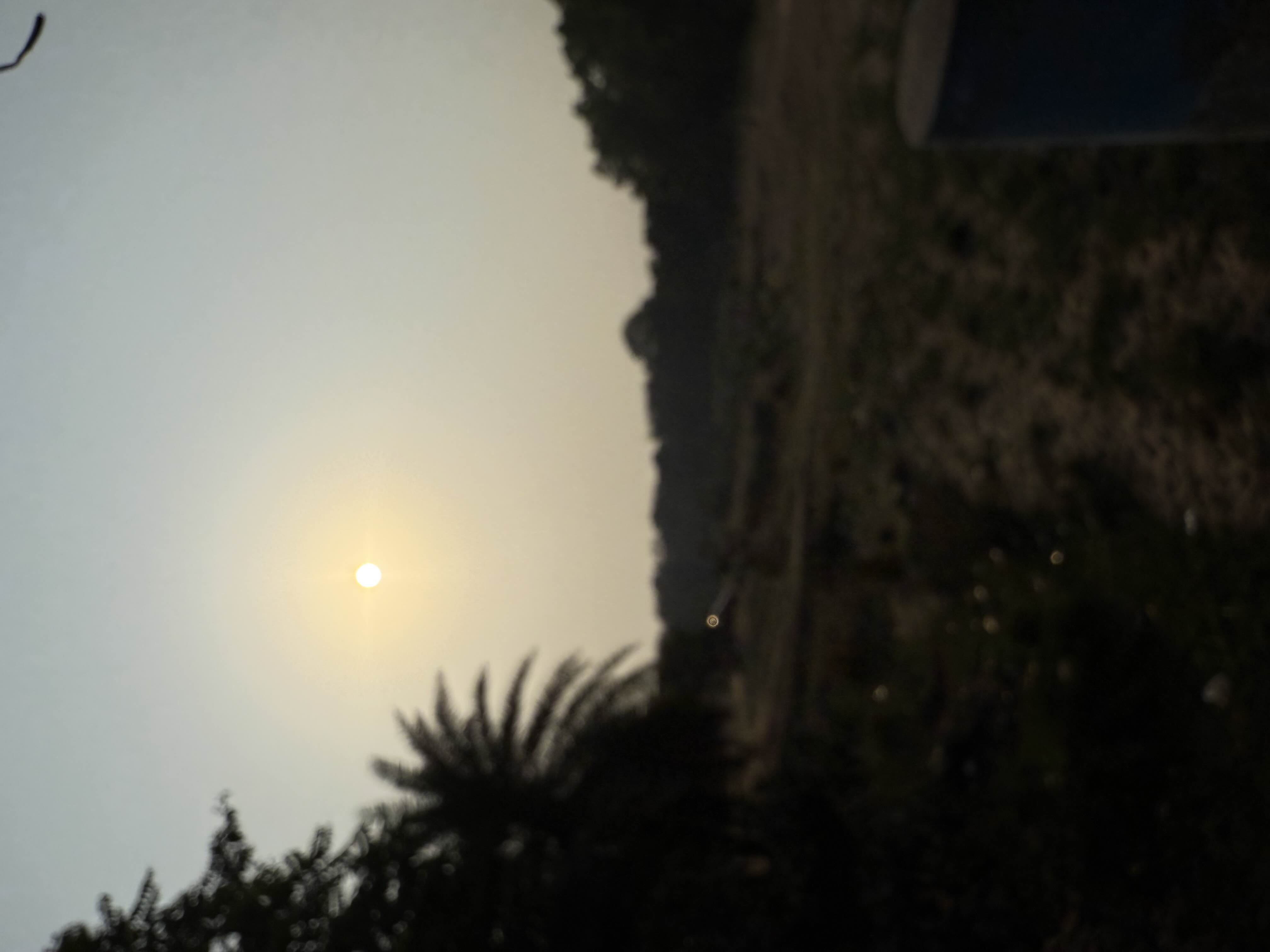 user photos