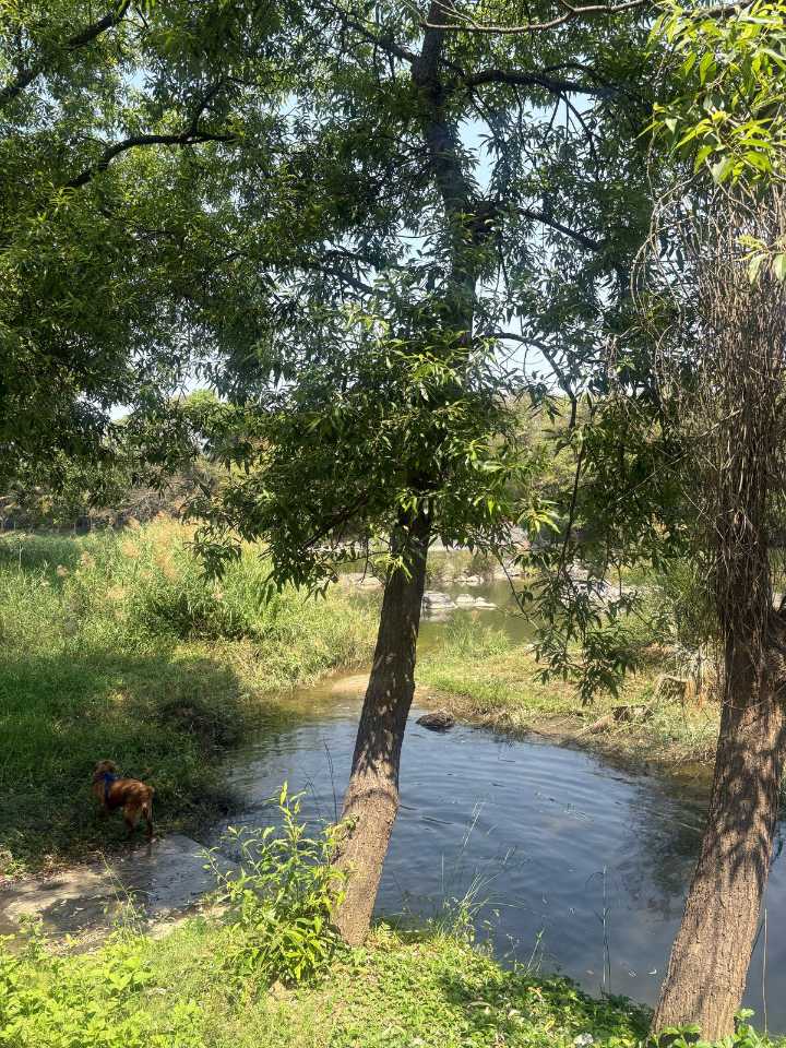 Outdoors IMAGE by Rajkiran Teraiya