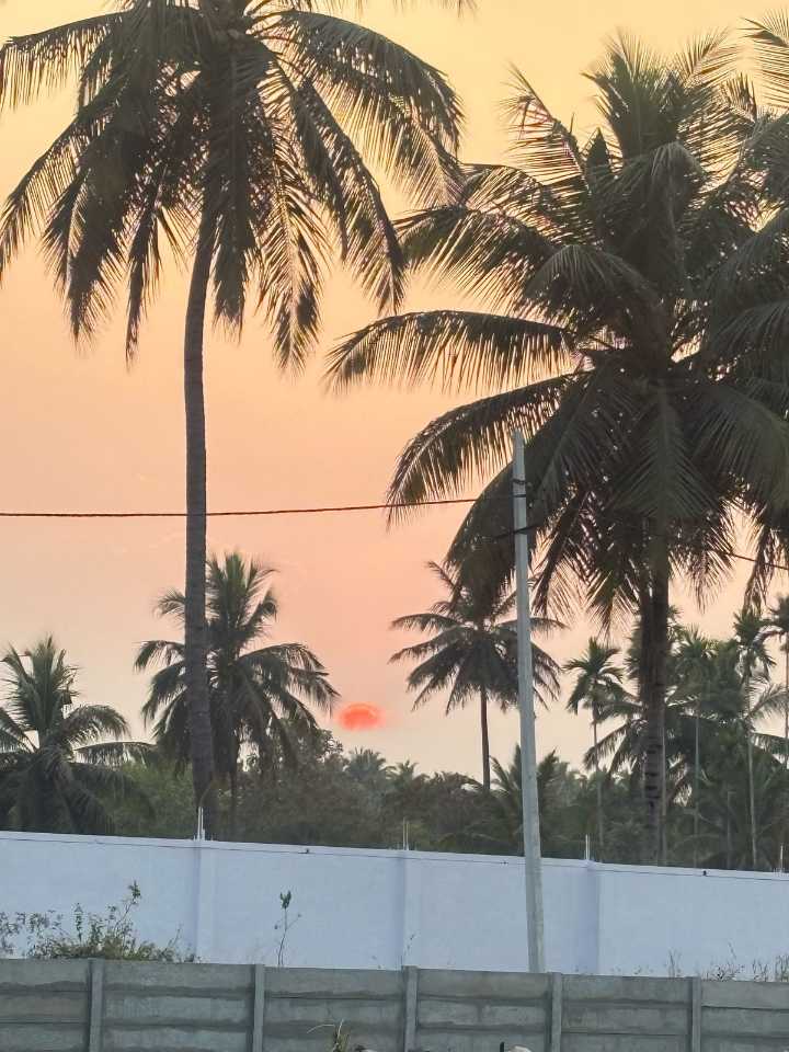 Outdoors IMAGE by Rajkiran Teraiya