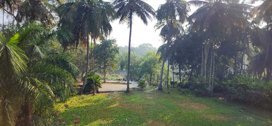 Outdoors IMAGE by Rajkiran Teraiya