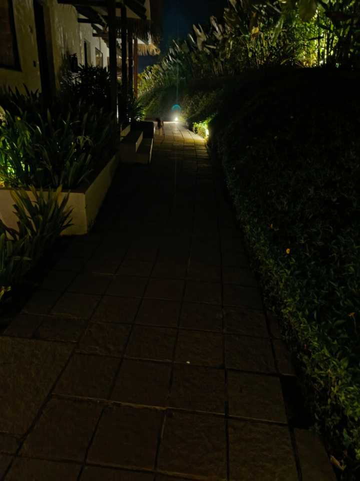 user photos