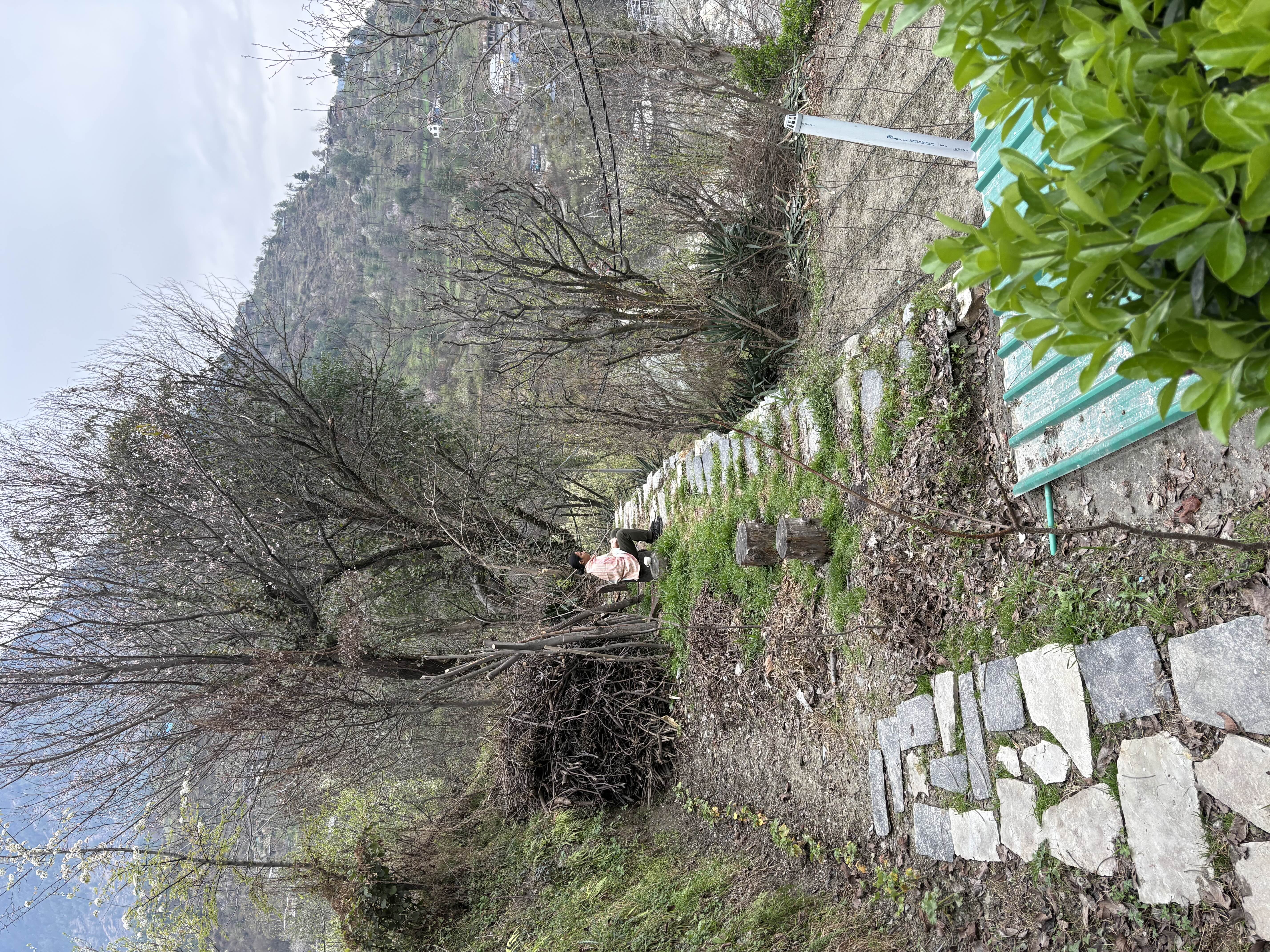 user photos