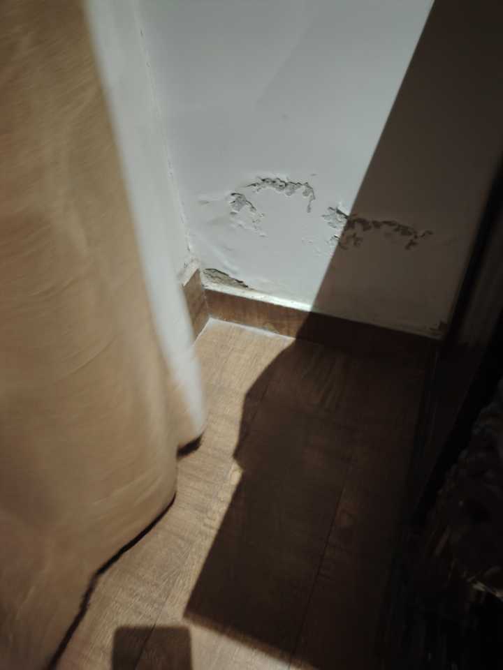 user photos