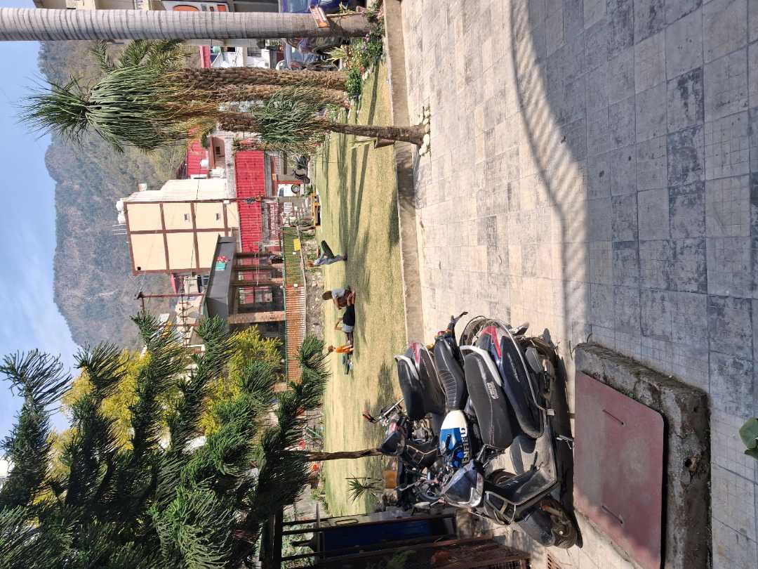 user photos