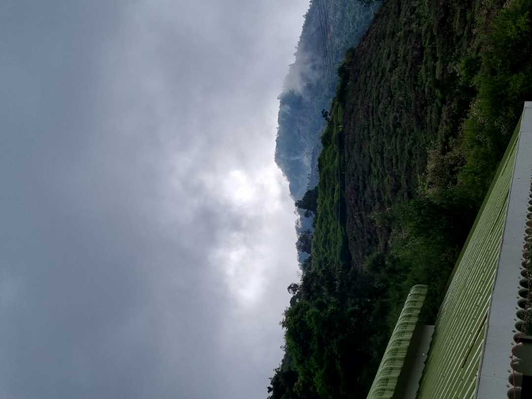 user photos