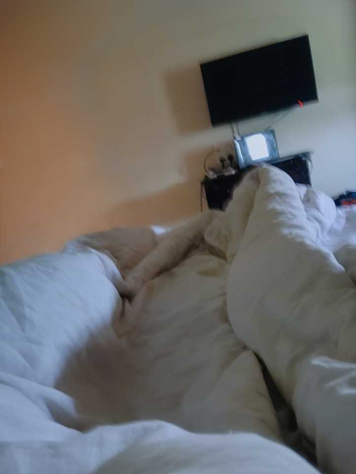 user photos