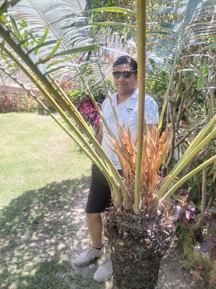 user photos