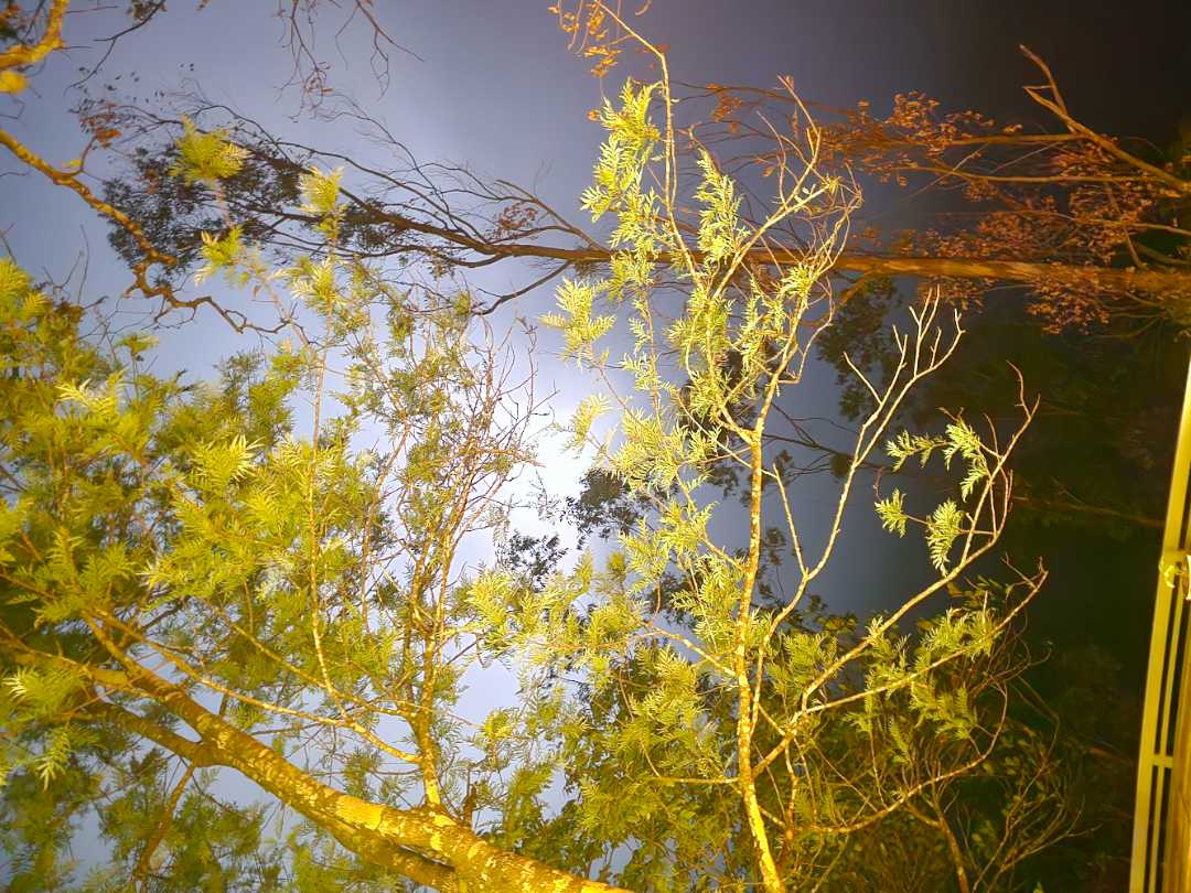 user photos