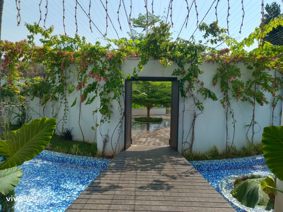 The Saravi Resort - Traveller Photo