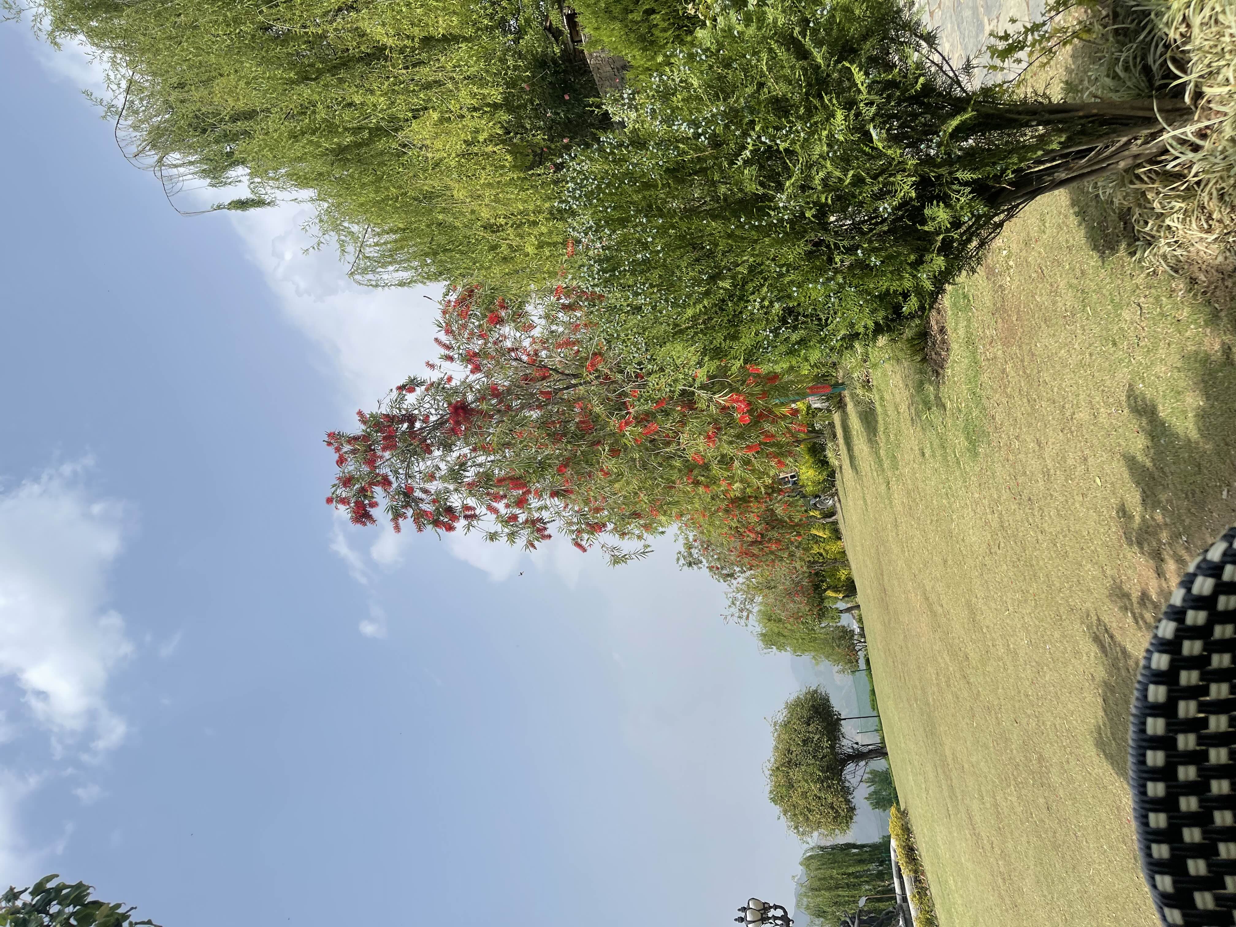 user photos