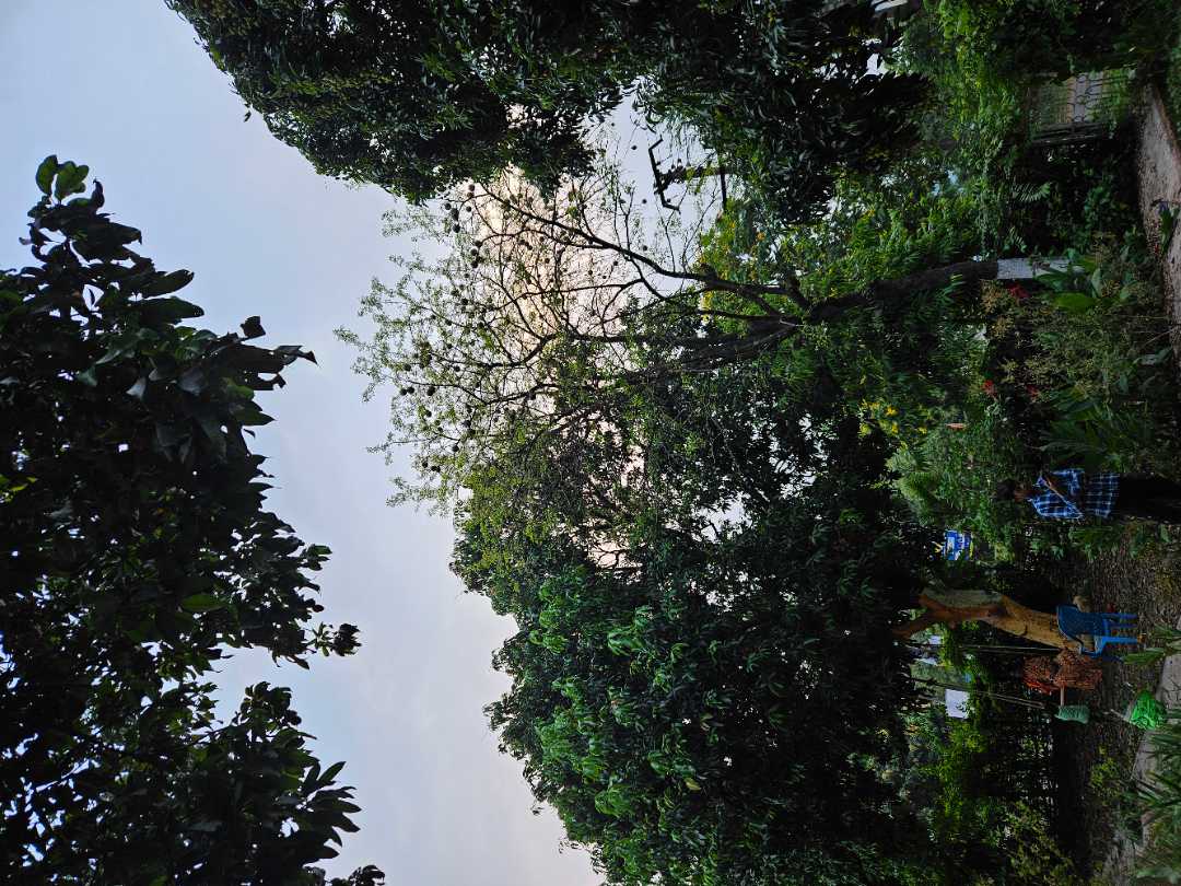 user photos
