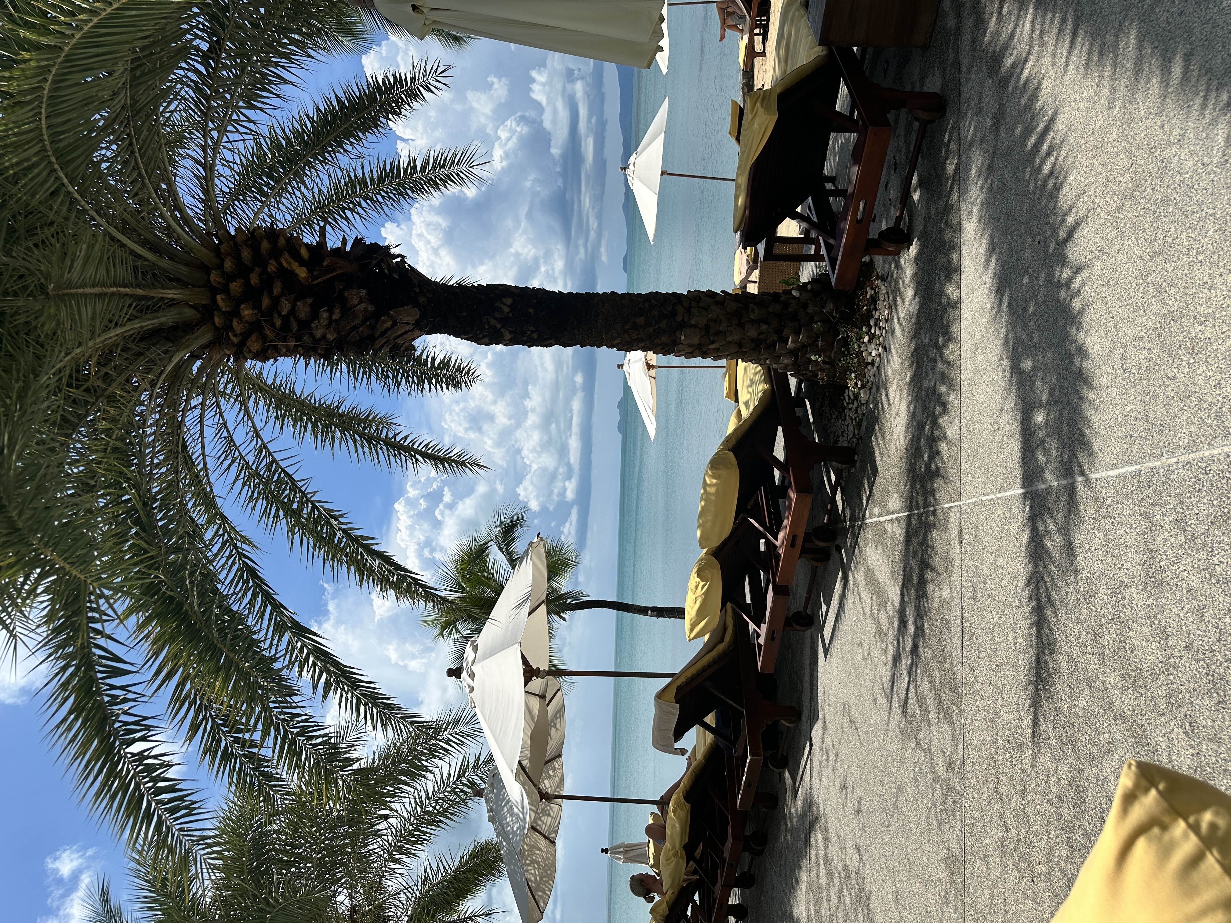 user photos