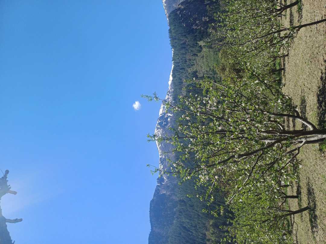 user photos