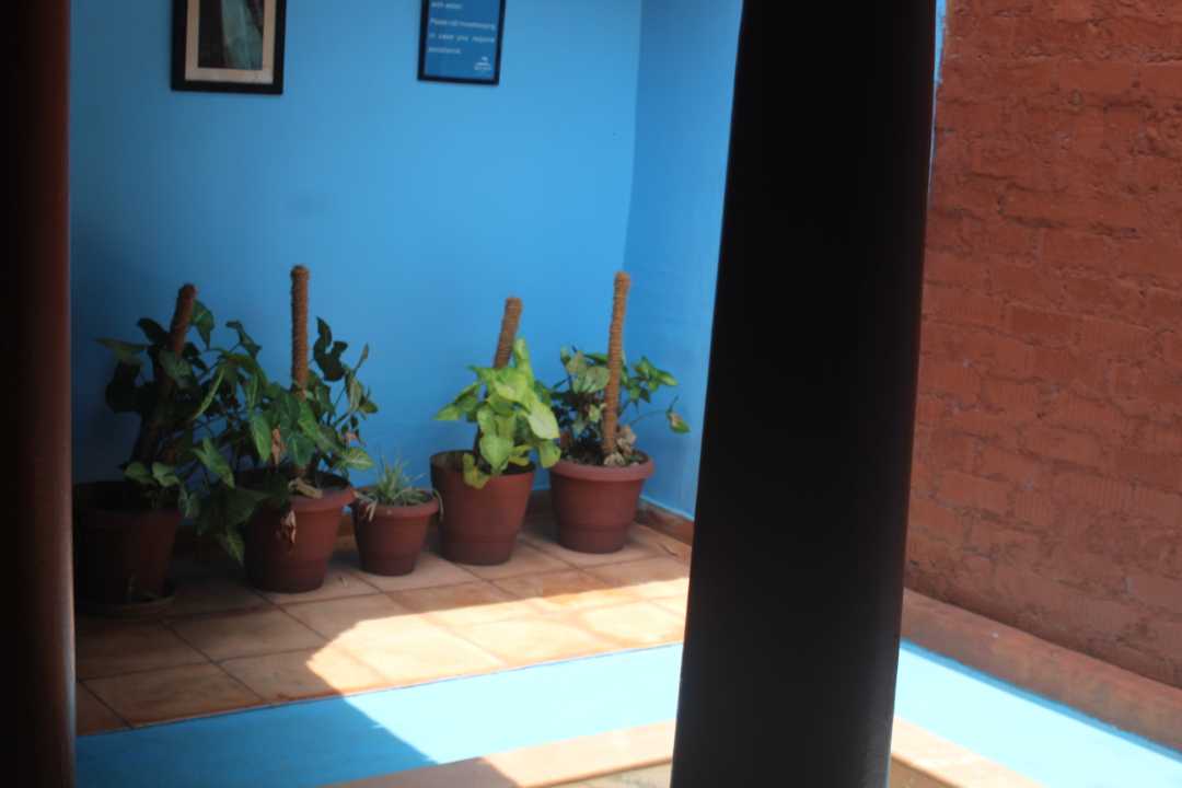 user photos