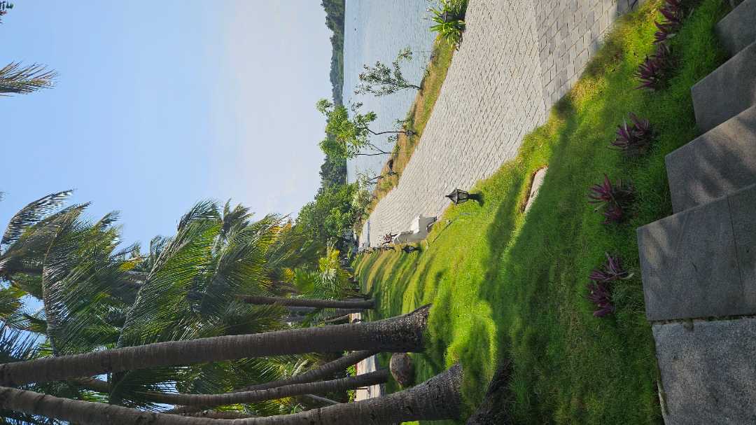 user photos
