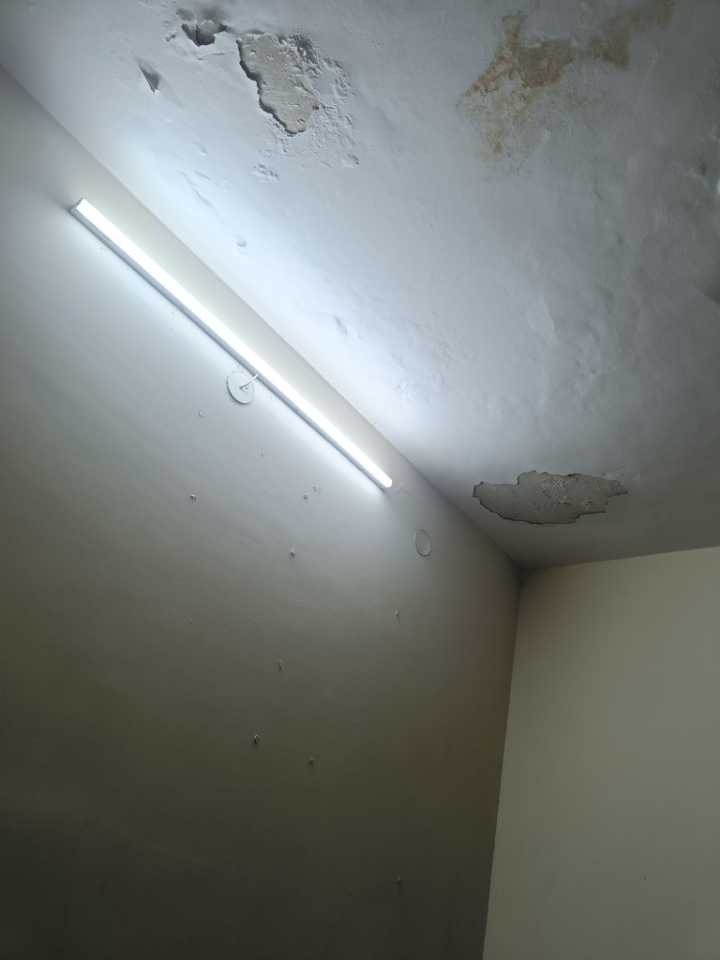 user photos